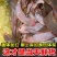 包邮）冷链龙利鱼海捕舌头鱼踏板鱼鳎目鱼鱼柳子板鱼海鲜水产