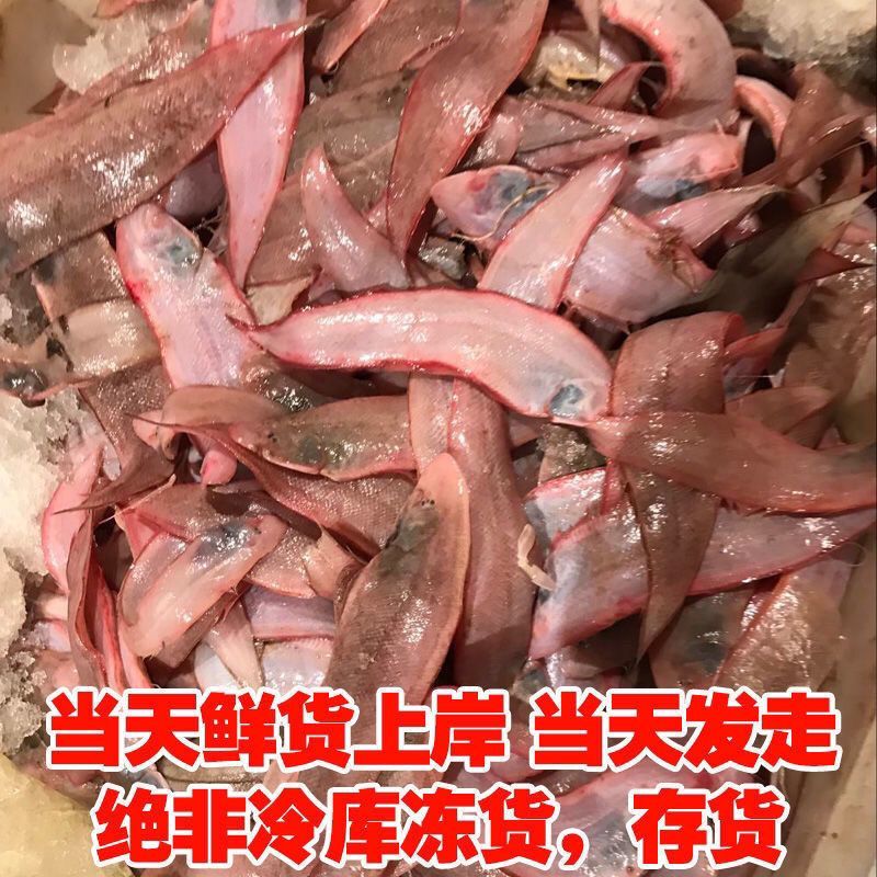 包邮）冷链龙利鱼海捕舌头鱼踏板鱼鳎目鱼鱼柳子板鱼海鲜水产