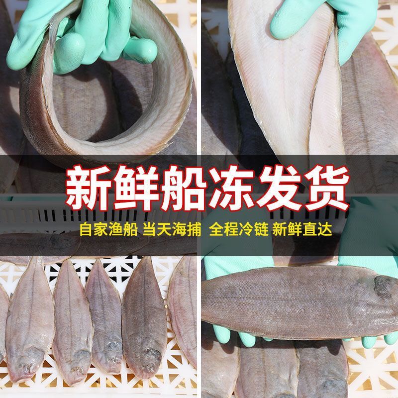 包邮）冷链龙利鱼海捕舌头鱼踏板鱼鳎目鱼鱼柳子板鱼海鲜水产