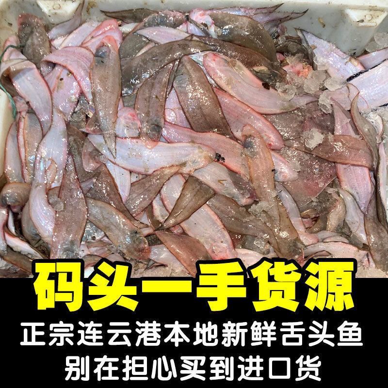 包邮）冷链龙利鱼海捕舌头鱼踏板鱼鳎目鱼鱼柳子板鱼海鲜水产