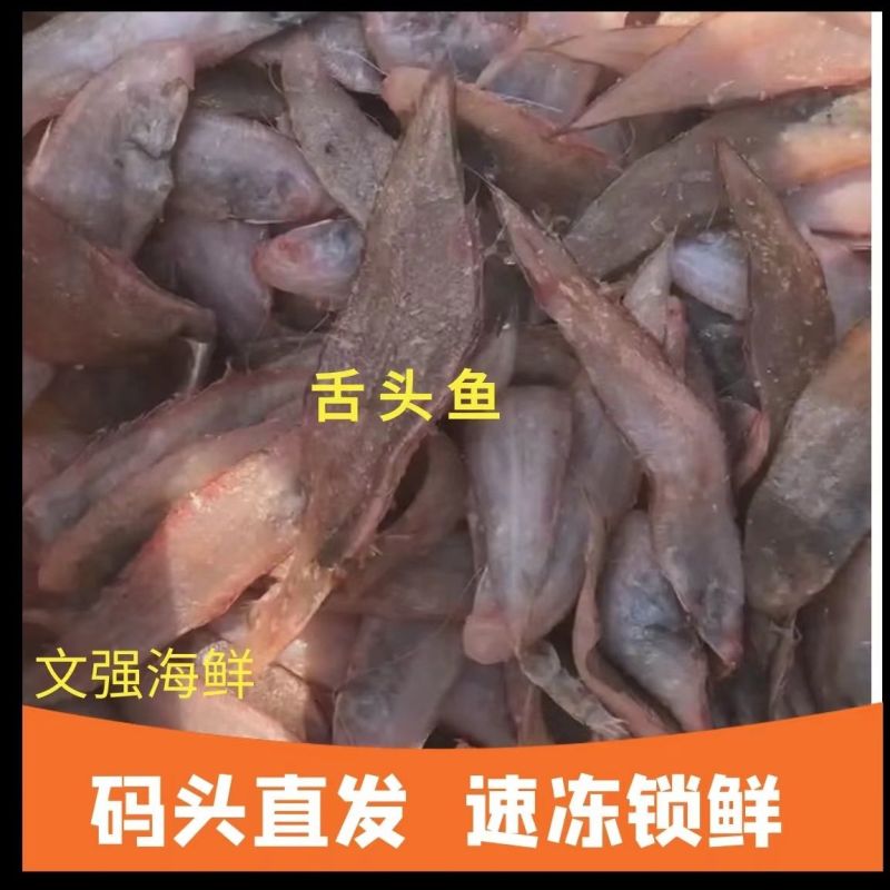 包邮）冷链龙利鱼海捕舌头鱼踏板鱼鳎目鱼鱼柳子板鱼海鲜水产