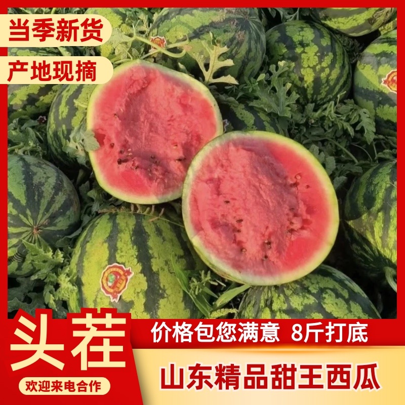 山东西瓜甜王西瓜大量上市了头茬包熟包甜或者充足真实报价！