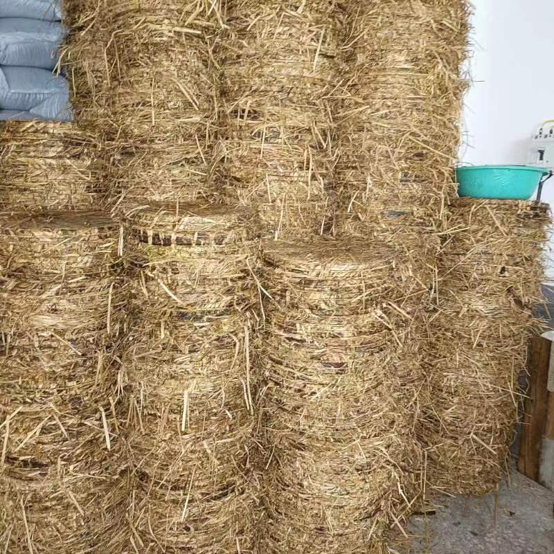 土茶油压榨冷榨茶籽油山茶油批发礼品湖南茶油代发山茶籽油食