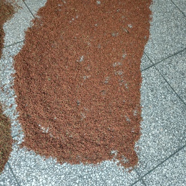 桂花茶中药(干货)