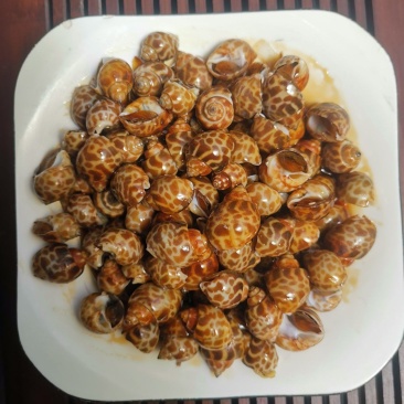 麻辣花螺