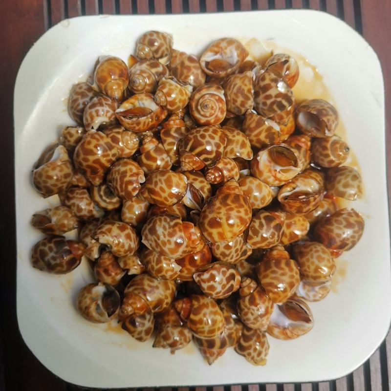 麻辣花螺