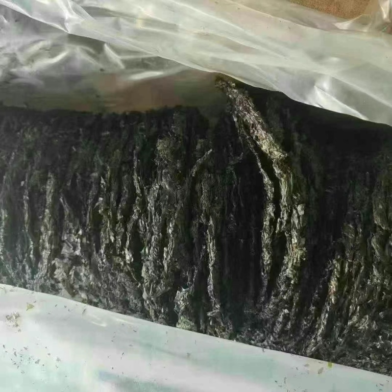 【新紫菜】新货商用散装紫菜干货无沙免洗紫菜无料包紫菜
