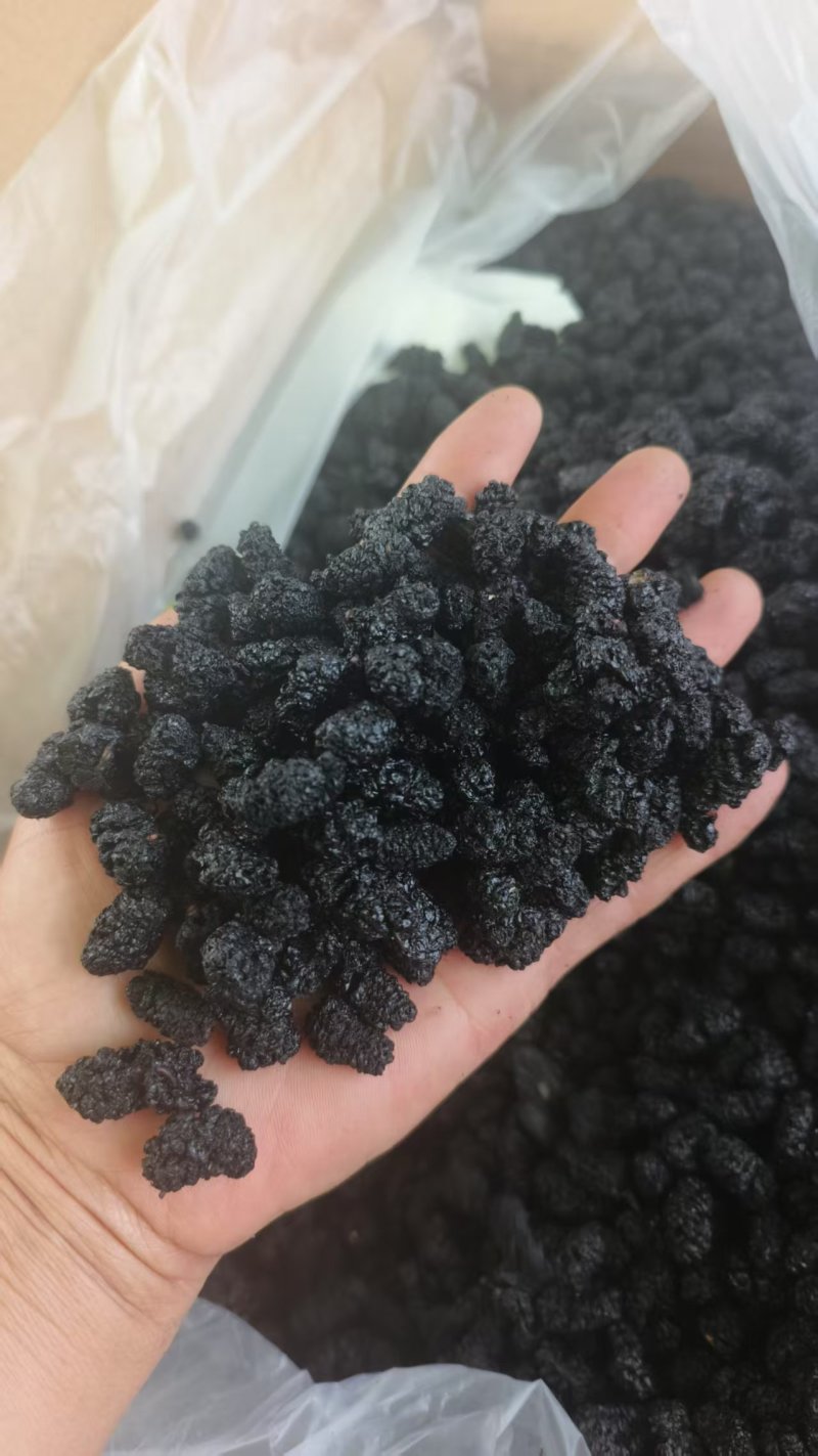「天然野生特级桑葚干***免洗即食营养健康零食」