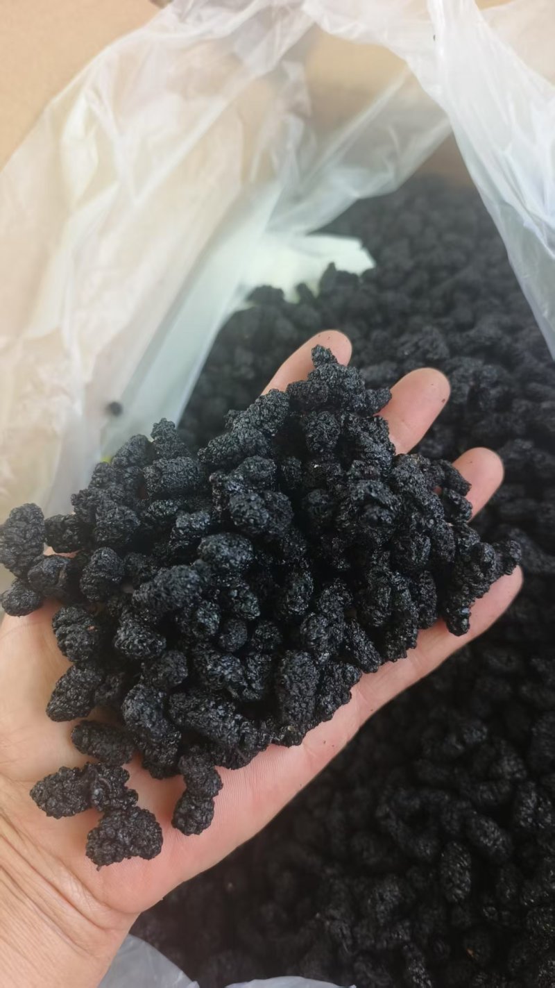 「天然野生特级桑葚干***免洗即食营养健康零食」