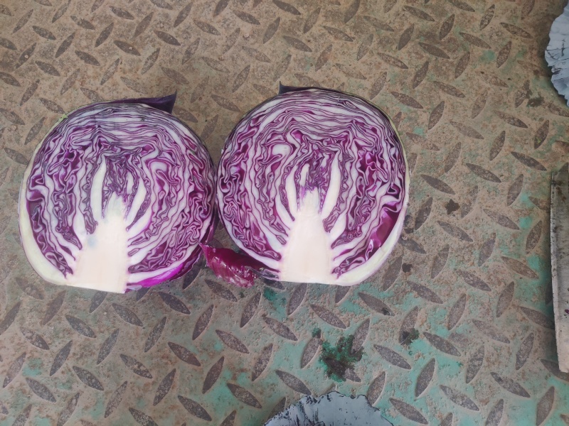 【欢迎来电】河北紫甘蓝，全国各地供应，大量有货！