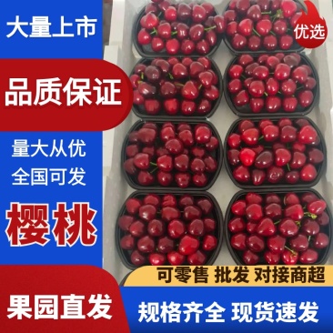 【精品推荐】现摘美早大樱桃一件代发，电微商对接，品质优良