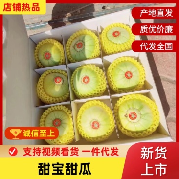 【推荐】山东青岛马连庄甜瓜，品种齐全产地直发，脆甜可口，