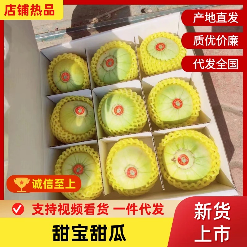 【推荐】山东青岛马连庄甜瓜，品种齐全产地直发，脆甜可口，