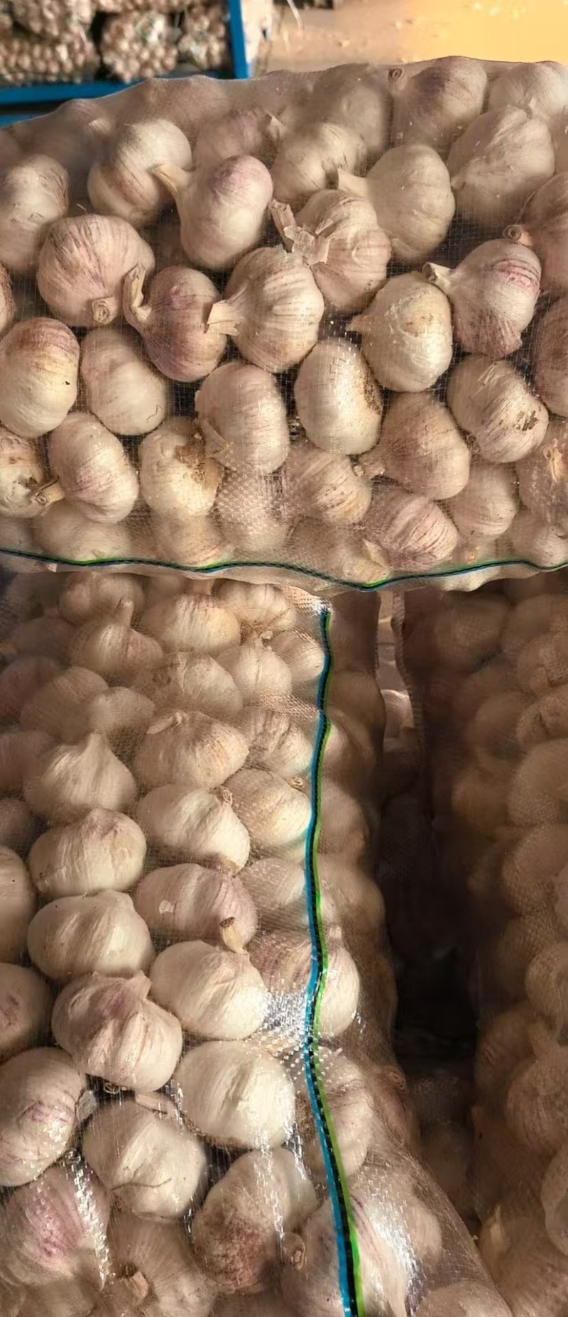 大蒜紫皮蒜河南产区直发保质保量供货