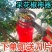 摘花椒神器防止扎手专用采摘机手持式新款剪花椒枸杞