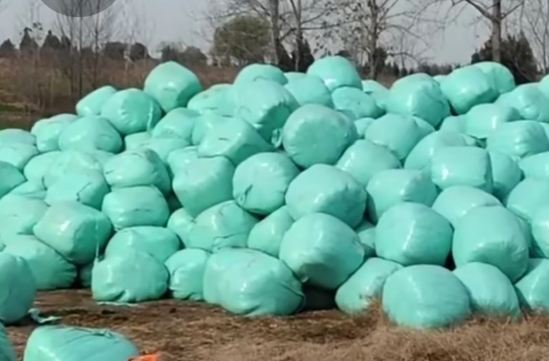 小麦秸秆除尘柔丝风选玉米秸秆白干净，优质小麦秸秆