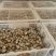 【品质保障】湖南鹌鹑蛋量大优惠对接批发电商商超