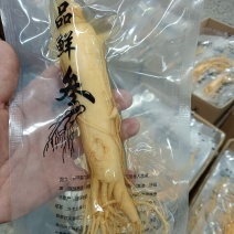 保鲜参吉林省万良保鲜参，原产地发货大量供货批发加零售