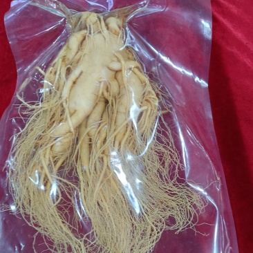 保鲜参，原产地批发，规格齐全，形体好看，可大量供货