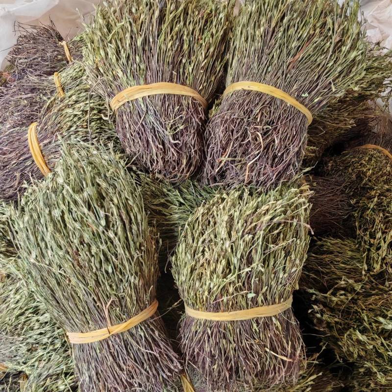精品独脚金