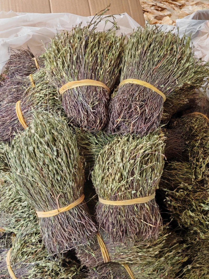 精品独脚金