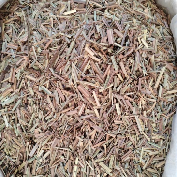 香茅草