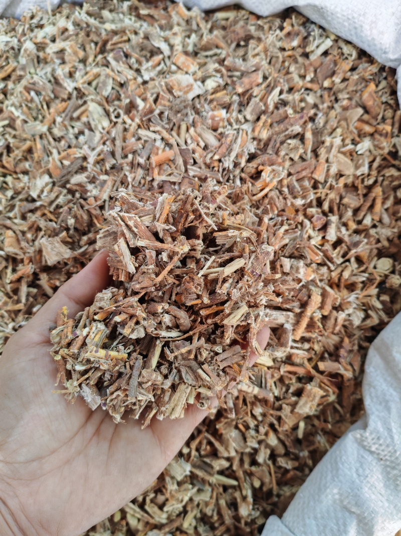 桑白皮