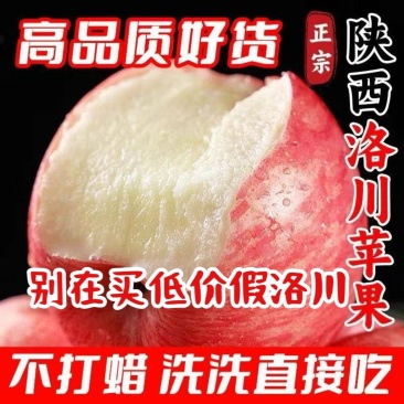 【好果超划算】洛川红富士苹果脆甜多汁当季一件代发批发