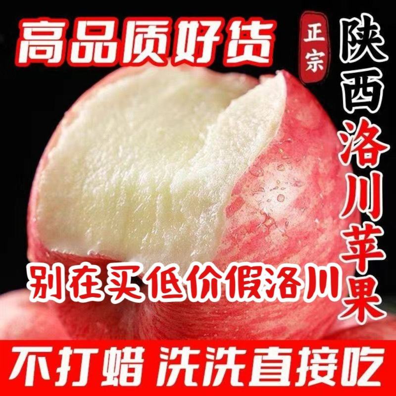 【好果超划算】洛川红富士苹果脆甜多汁当季一件代发批发