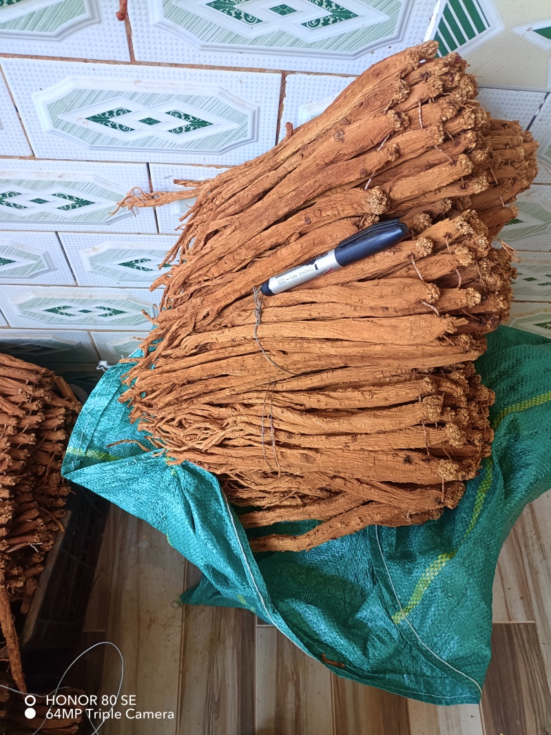 正宗黄党参