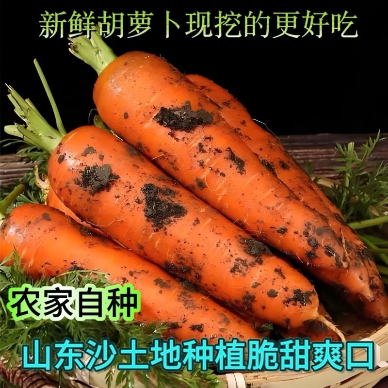 三红胡萝卜，对接电商商超各类平台，产地一条龙服务