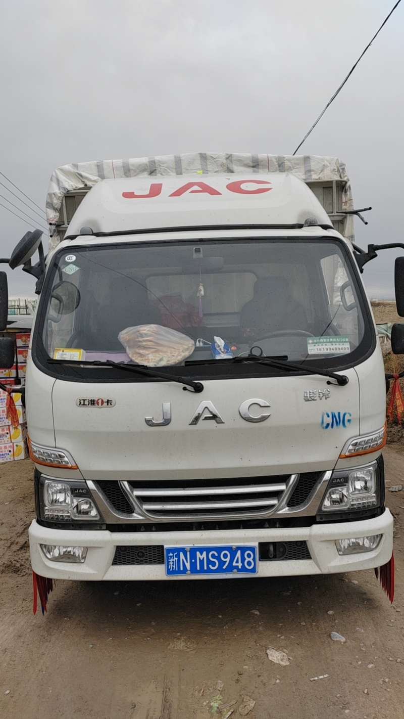 圣女果