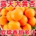 金太阳杏，本地种植，货源充足，供货稳定，可视频看货