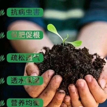 生物有机肥纯羊粪厂家直发品质保证量大价优