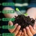 生物有机肥纯羊粪厂家直发品质保证量大价优