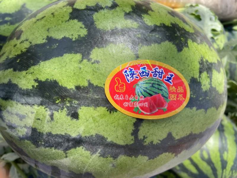 陕西精品甜王西瓜大量上市产地直发价格优惠欢迎来电洽谈