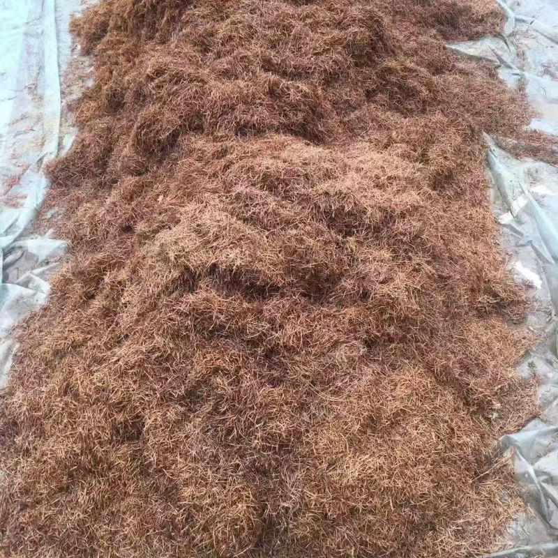 育苗基质，腐殖土，种植花卉绿植，品质保证代发全国客商
