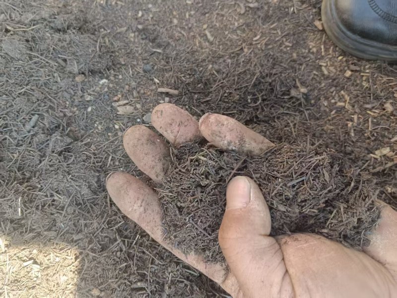 育苗基质，腐殖土，种植花卉绿植，品质保证代发全国客商