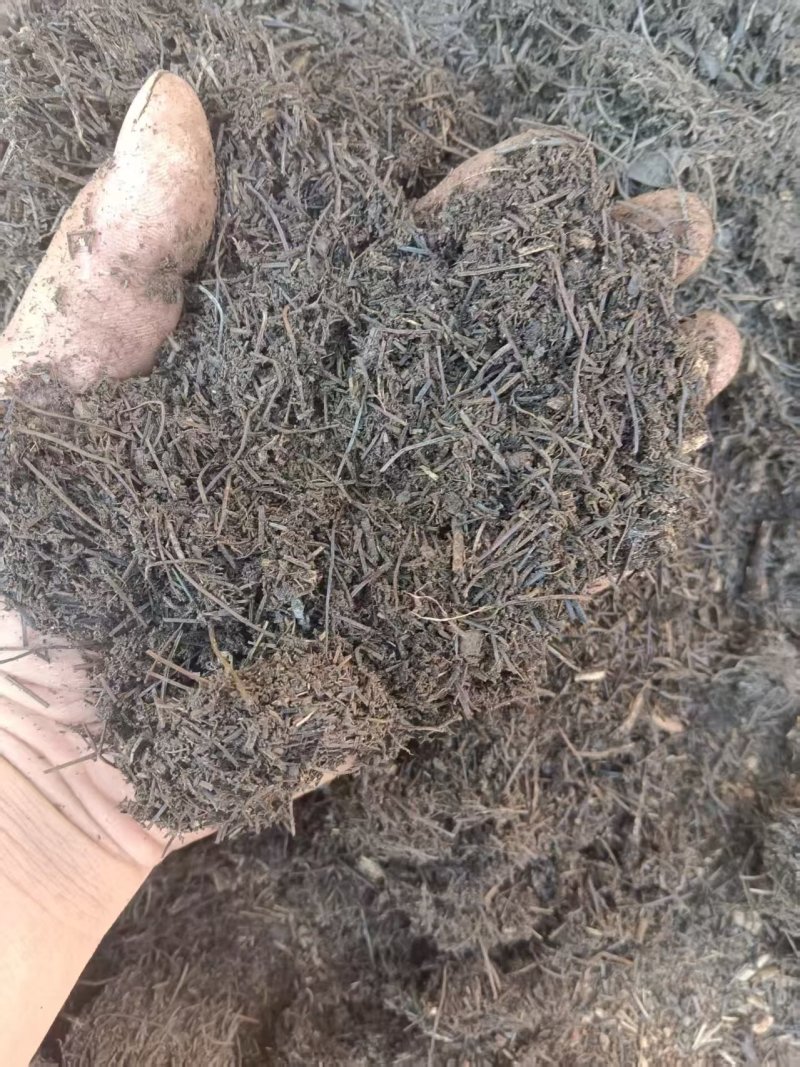 育苗基质，腐殖土，种植花卉绿植，品质保证代发全国客商