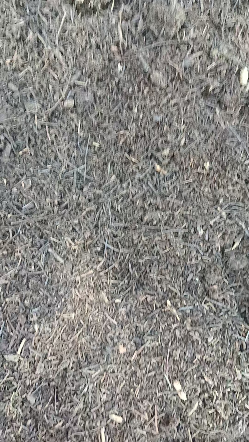 育苗基质，腐殖土，种植花卉绿植，品质保证代发全国客商
