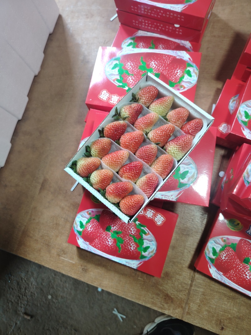 四季草莓，酸甜口感，合适冰糖葫芦，蛋糕店