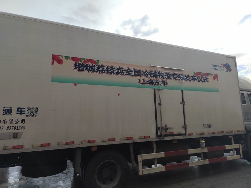 桂味荔枝批发代办一件代发