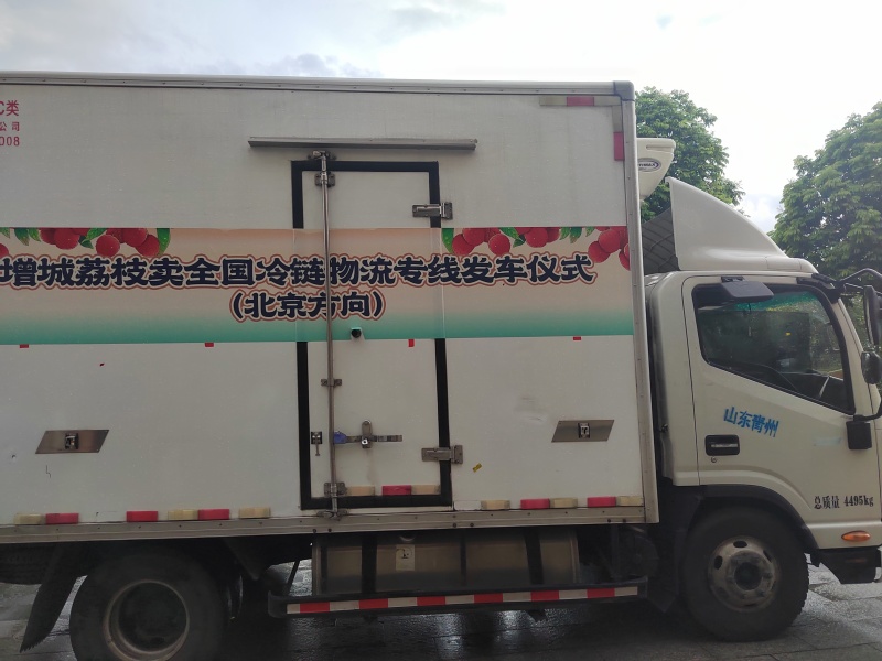 桂味荔枝批发代办一件代发