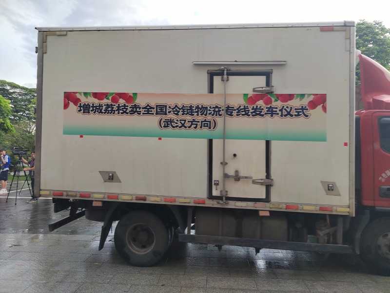 桂味荔枝批发代办一件代发