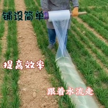一次性水龙带农用浇地灌溉塑料水管高压加厚水袋浇地省水