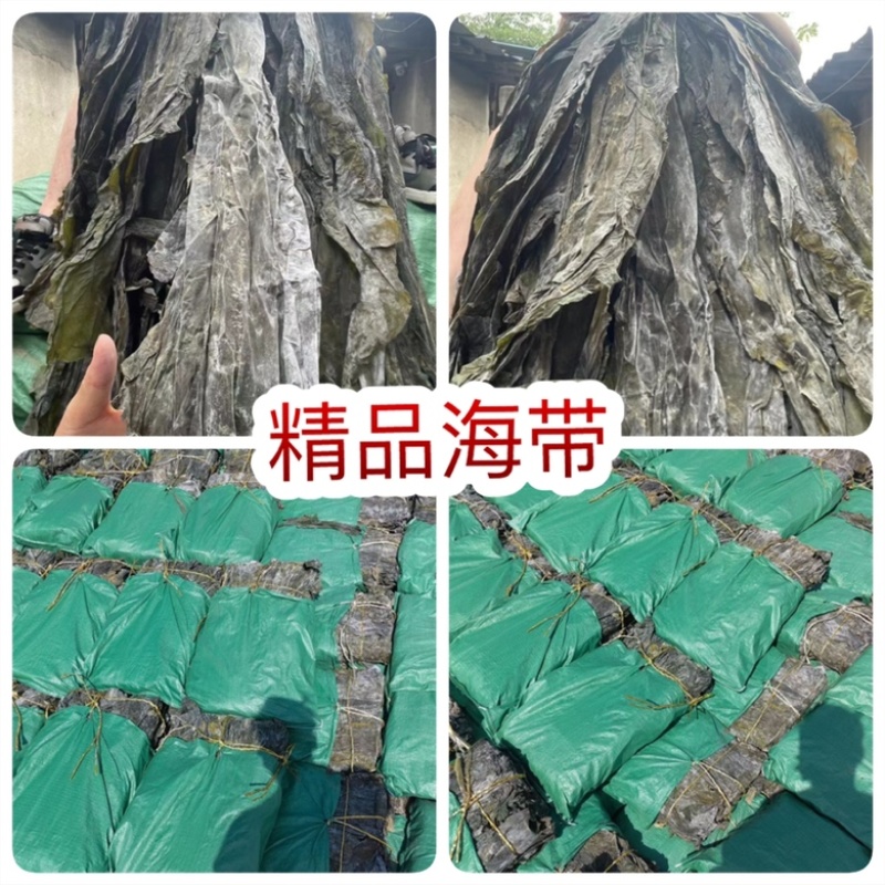 山东精品无沙海带地摊电商批发海带干干海带海底皮海带头