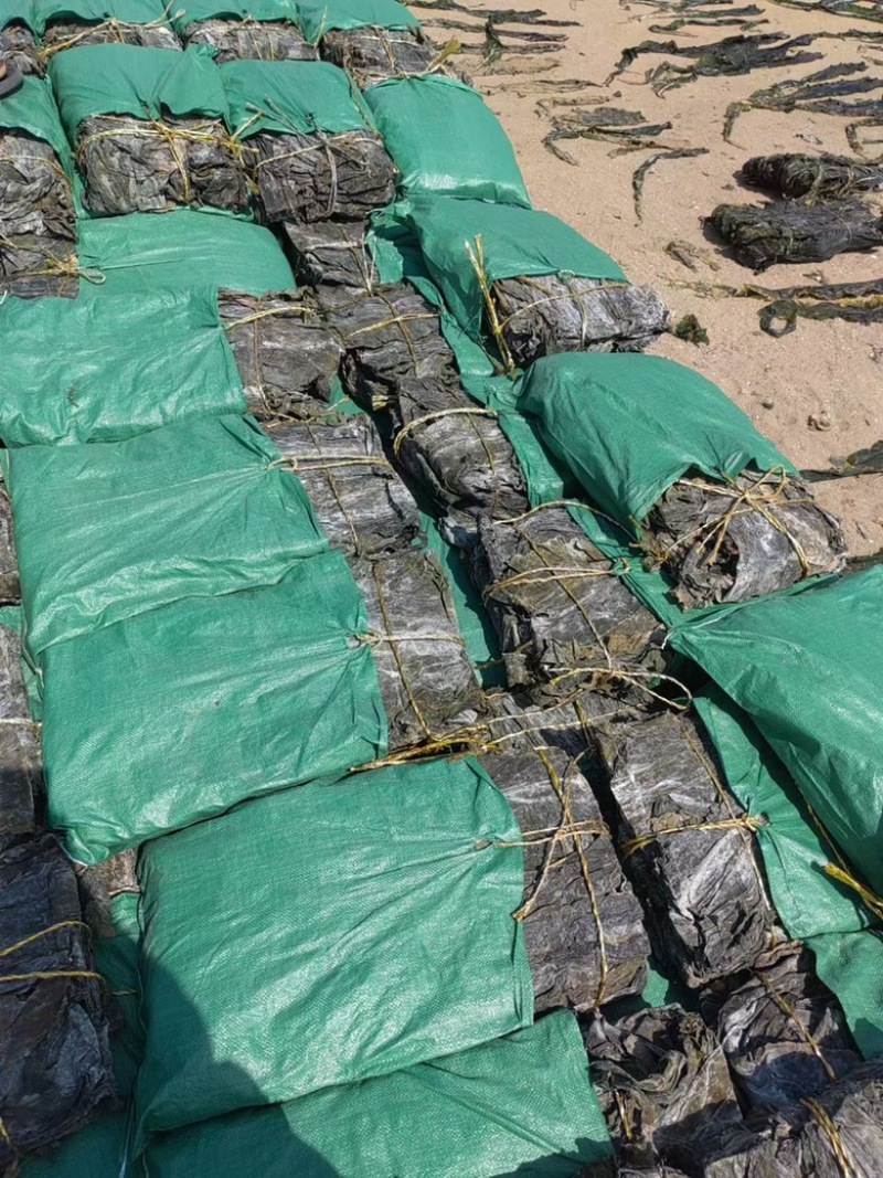 山东精品无沙海带地摊电商批发海带干干海带海底皮海带头