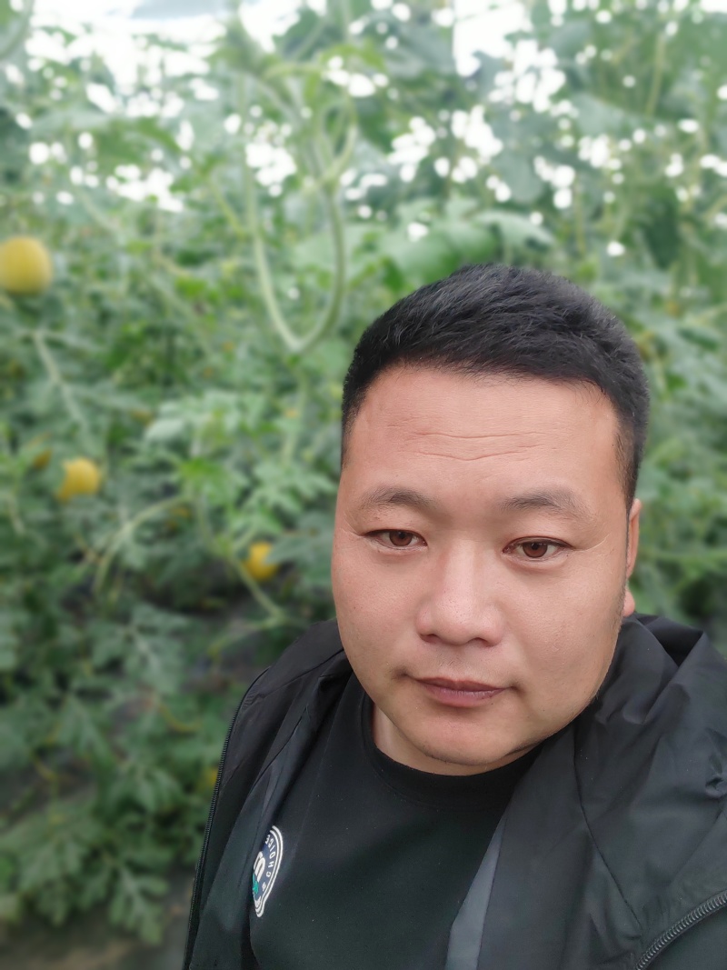 黄大帅西瓜，甜又脆，最新品种，好吃不贵，经济实惠，