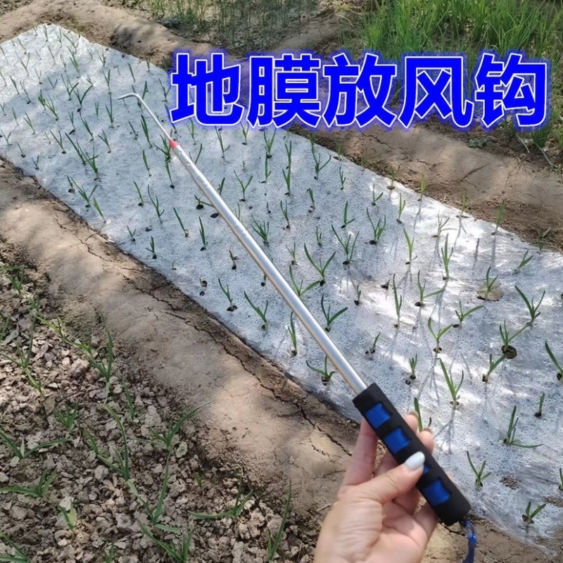 蒜钩子钩蒜挑蒜神器地膜出苗蒜农工具苗钩子钩蒜神器