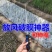 蒜钩子钩蒜挑蒜神器地膜出苗蒜农工具苗钩子钩蒜神器